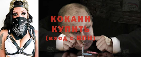 хмурый Нея