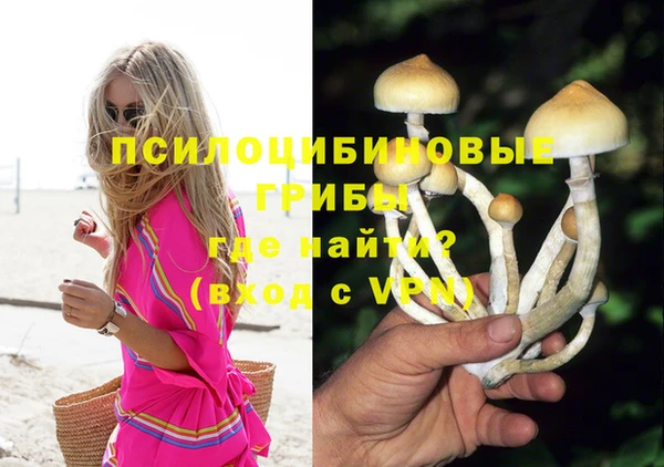 мефедрон Нефтегорск