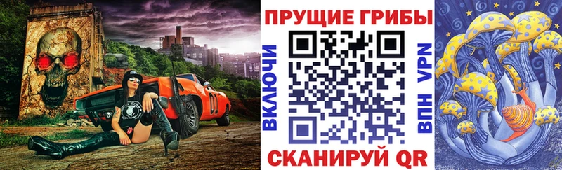 Псилоцибиновые грибы мицелий Ковылкино